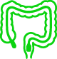 Colonoscopia