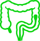 Rectosigmoidoscopia